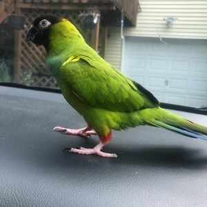 Meet your Posher, Kevin